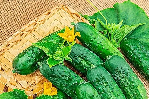 Вкус и использование