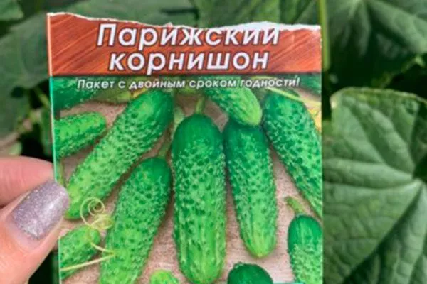 История выведения