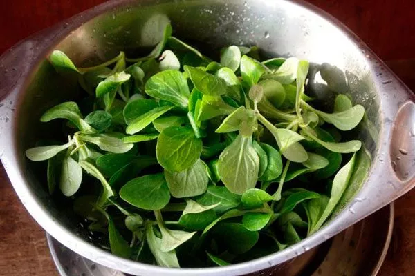 Использование в кулинарии