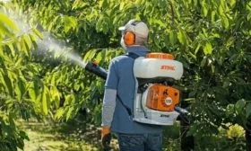 опрыскивание сливы от вредителей