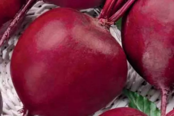 Свёкла Фёкла