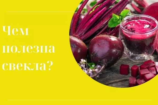 Полезные свойства свёклы