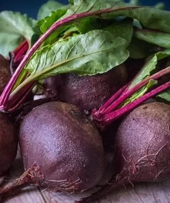 внешний вид свёклы Фёкла