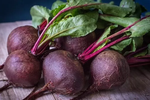 внешний вид свёклы Фёкла