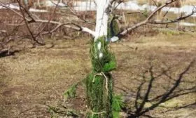 Подготовка к зиме