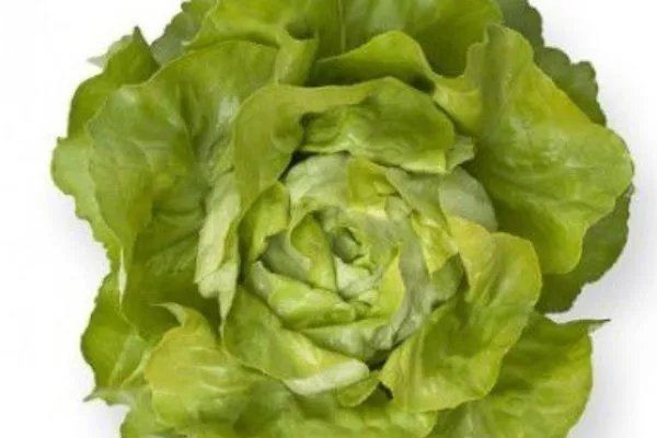 Салат Санторо