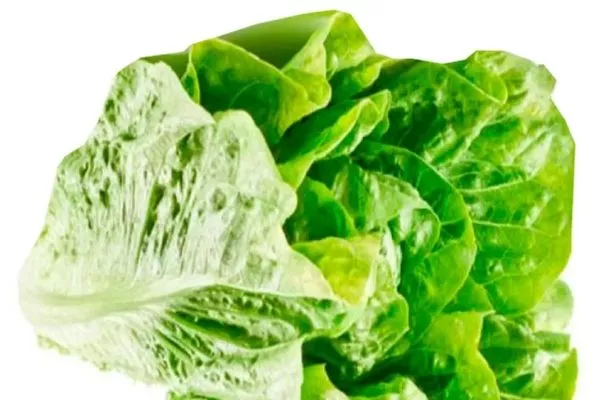 Описание салата Санторо