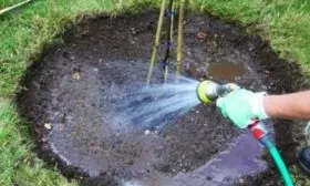 полив сливы