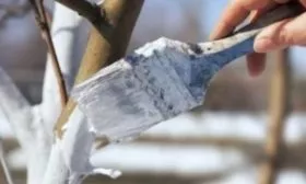 Подготовка к зиме