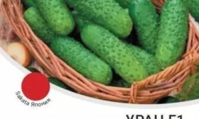 Огурцы Уран