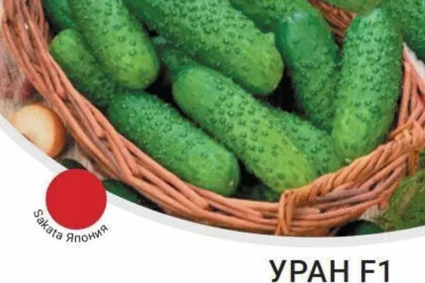 Огурцы Уран