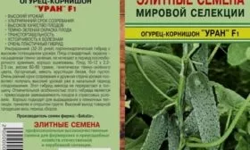 семена огурцов