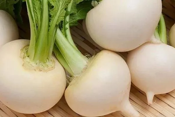 Описание внешнего вида репы