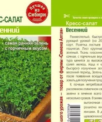 кресс-салат весенний
