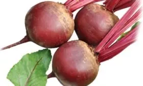 Свёкла Креолка