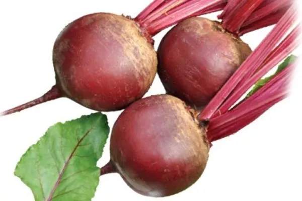 Свёкла Креолка