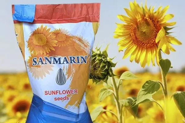 сорт подсолнечника Санмарин 421
