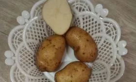 Описание клубней