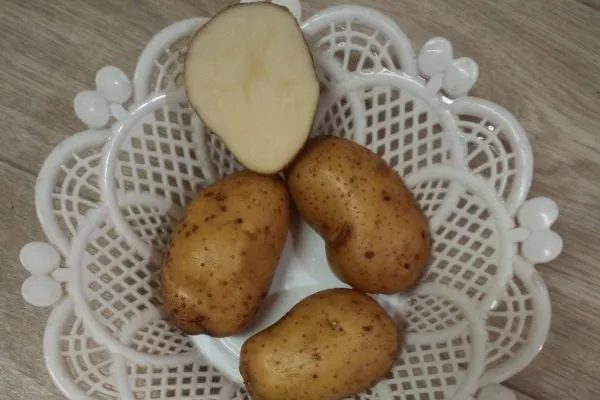 Описание клубней