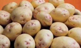 сорт аврора