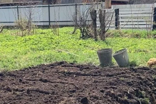 Технология посадки