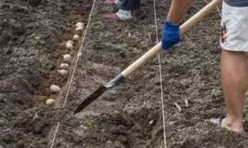 Особенности посадки