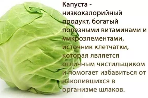 польза капусты
