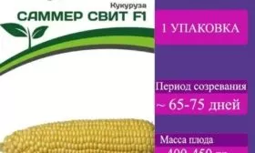 сорт кукурузы Саммер Свит