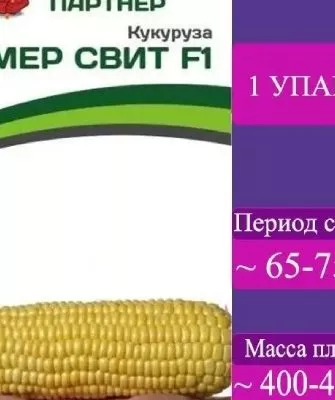сорт кукурузы Саммер Свит