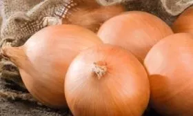 Лук сорта Дед