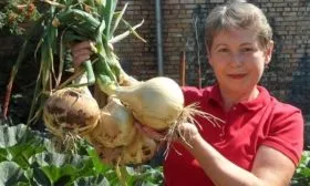 Внешний вид лука дед