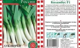 лук Коламбус
