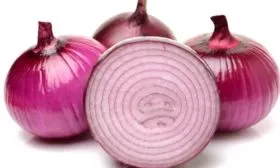 Характеристика внешнего вида луковицы