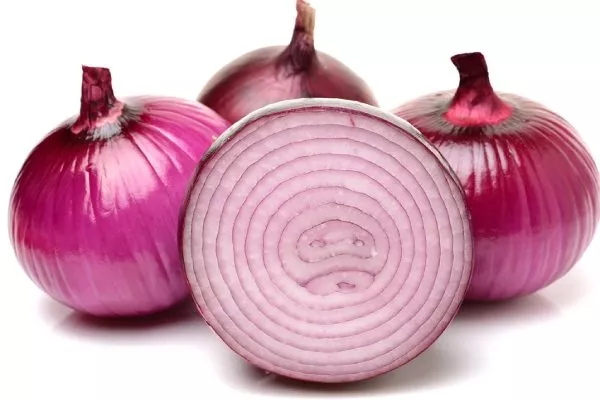 Характеристика внешнего вида луковицы