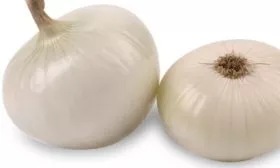 лук Ялтинский белый