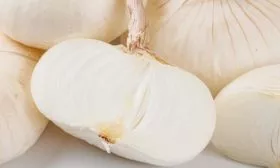 описание луковиц