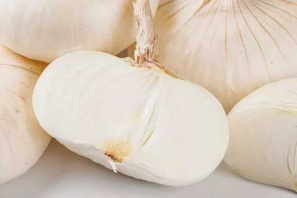 описание луковиц