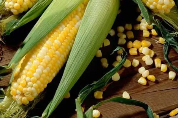 особенности сорта