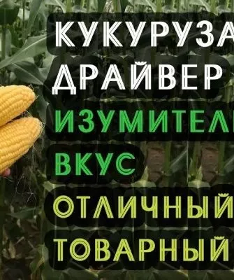 Кукуруза Драйвер