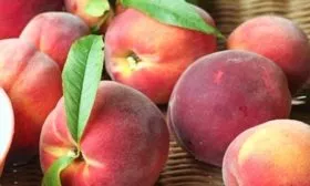 персик Роял ви