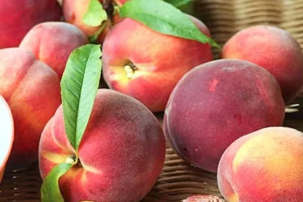 персик Роял ви