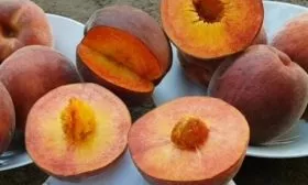 персик Роял Маджестик