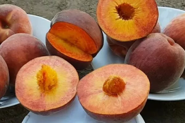 персик Роял Маджестик