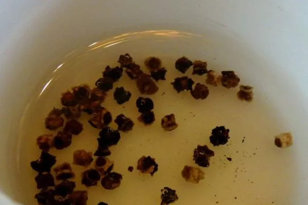 Замачивание семян