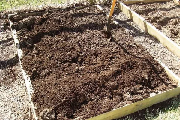 подготовка участка под посадку