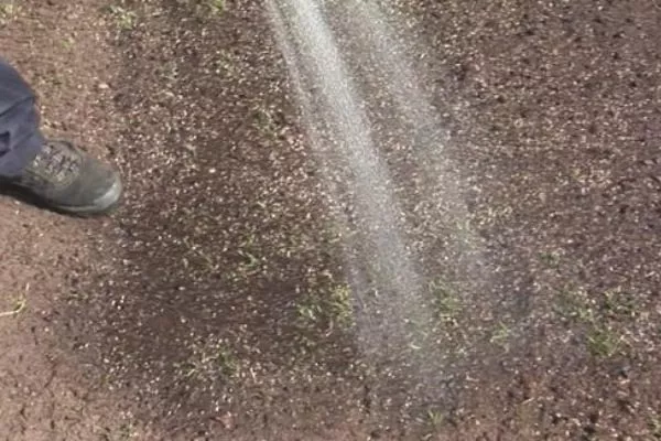 увлажнение после посева