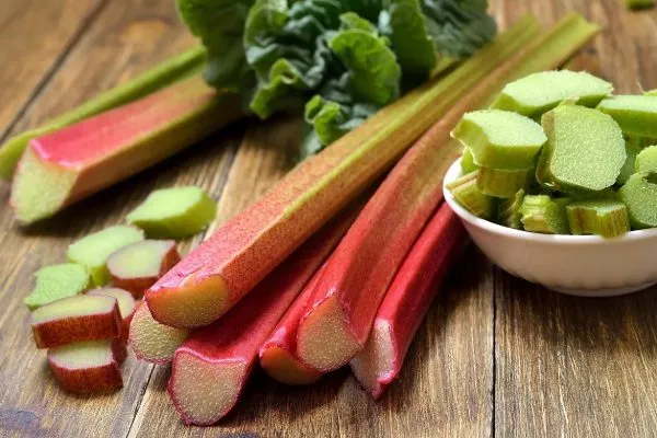 съедобная часть ревеня