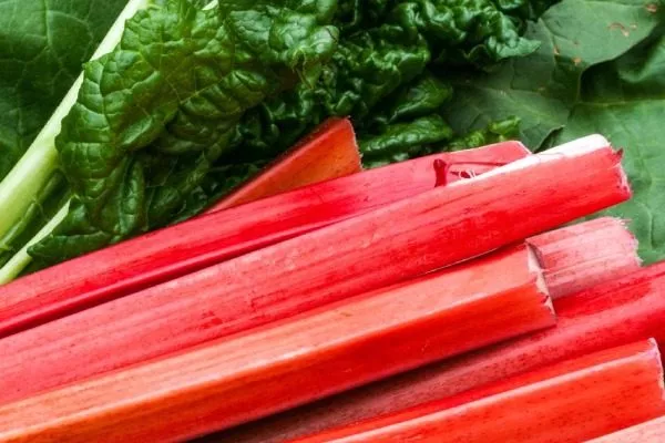 ревень Канадский красный