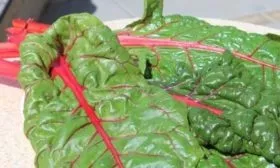 красный ревень