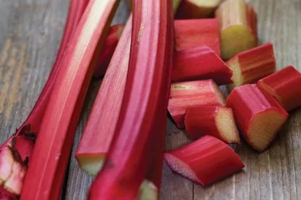 Ранний превосходный ревень Рида